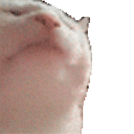 Saracookiedough