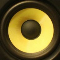 bass fanatic