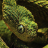 Jungalism